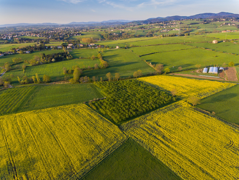 DJI_0020-1.jpg.bf3073ae93195faa453608c61ca72af5.jpg