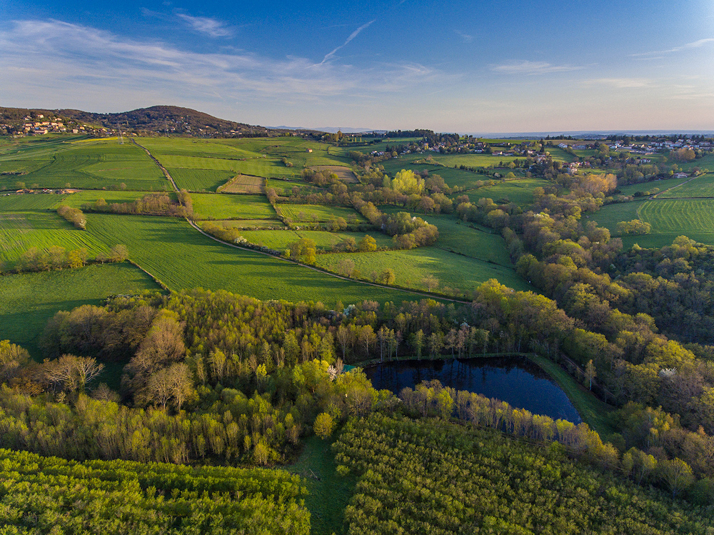 DJI_0025-1.jpg.2577afb96ac4d45c2612930f6ec5d062.jpg