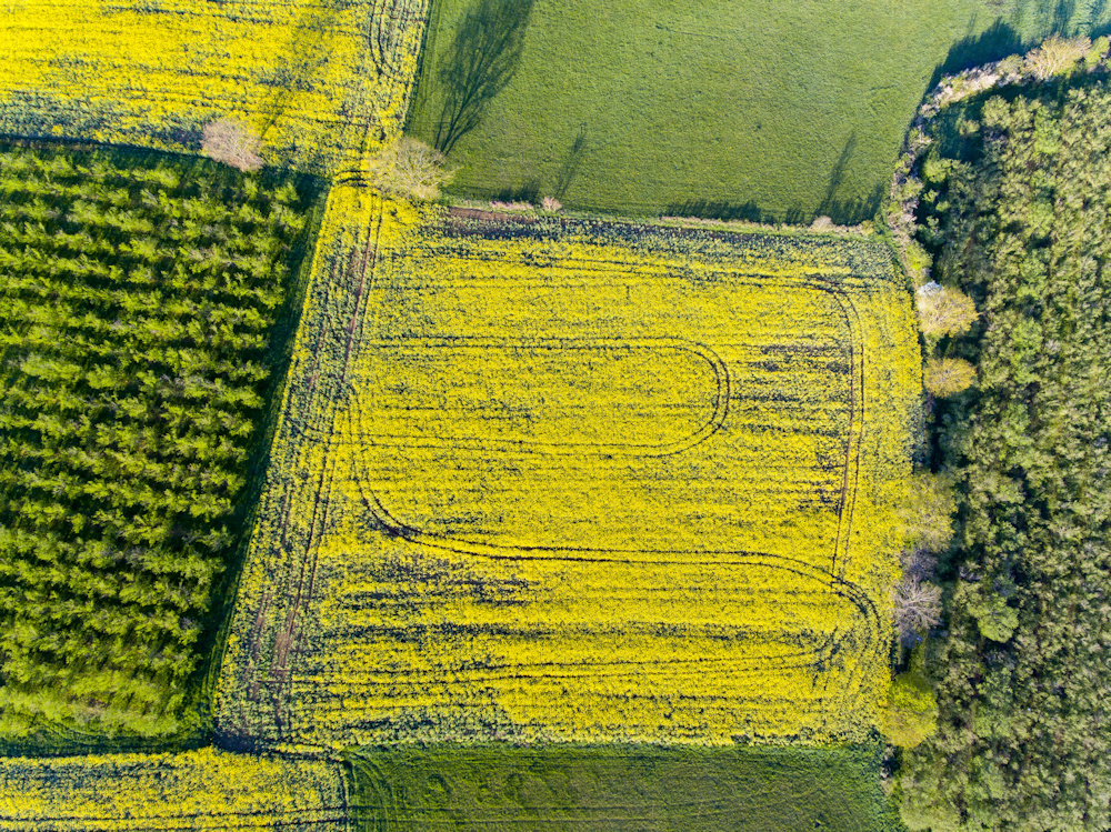 DJI_0042-1.jpg.53ab40fa9c1485b1f2ec4ea973b8707d.jpg