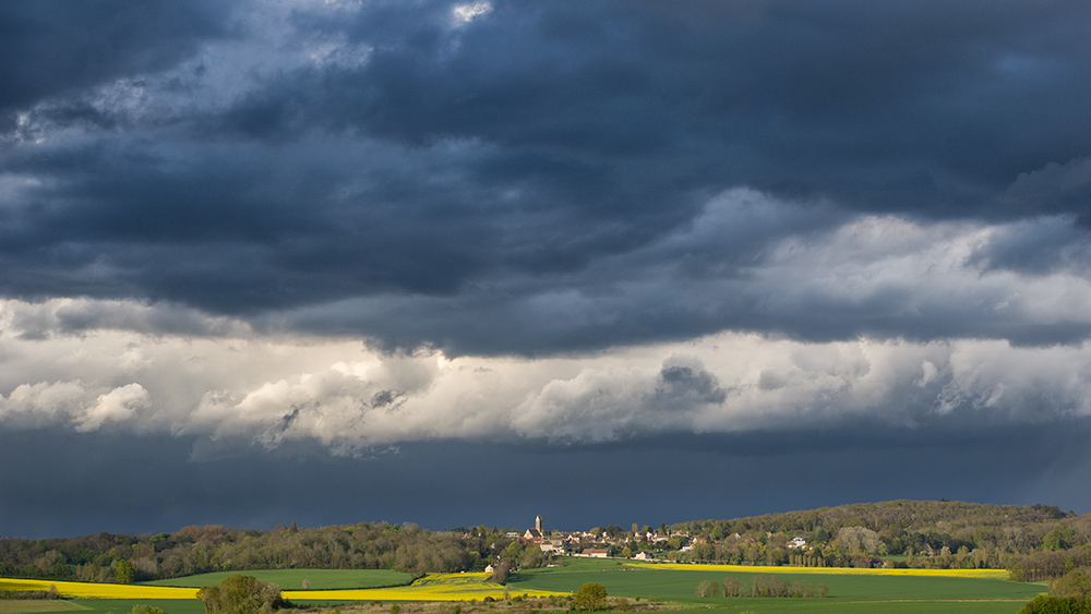 _DSC0163.jpg.27d5aeefd1f5bd0c6239b8a945260d6c.jpg