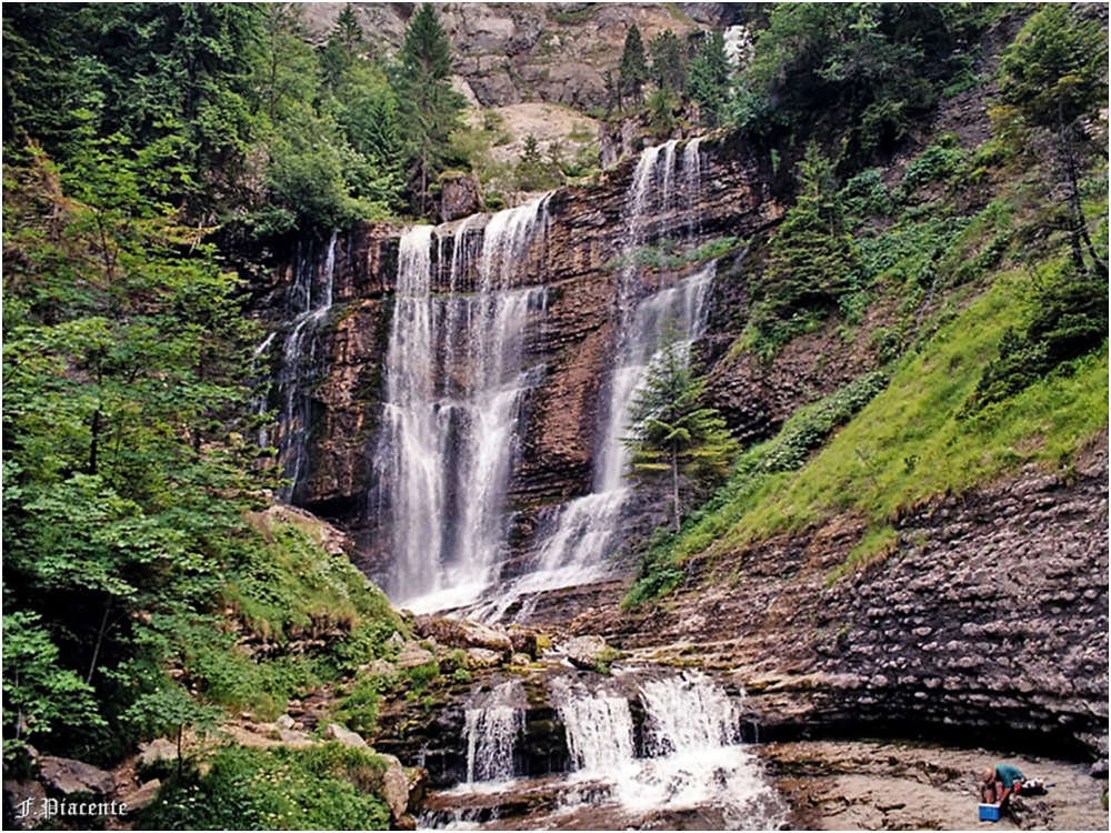 00459.jpg.8e768ab510d5a3014f0be410a2f81b78.jpg