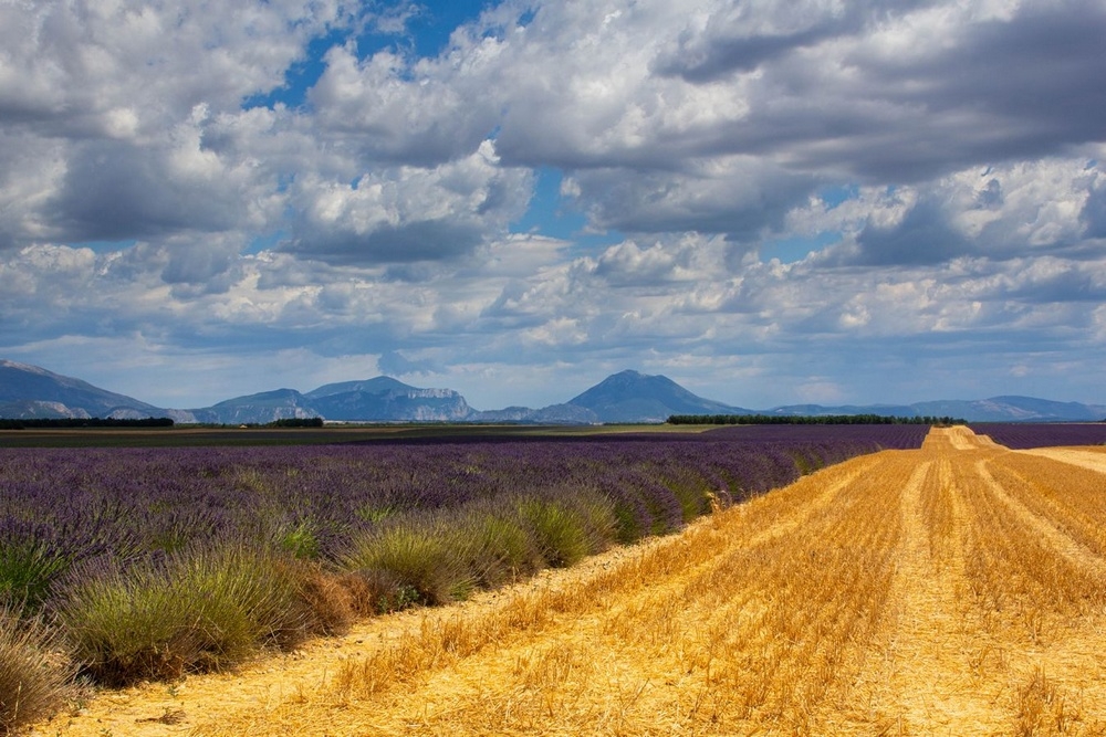 113-4 - Jiheme04.jpg