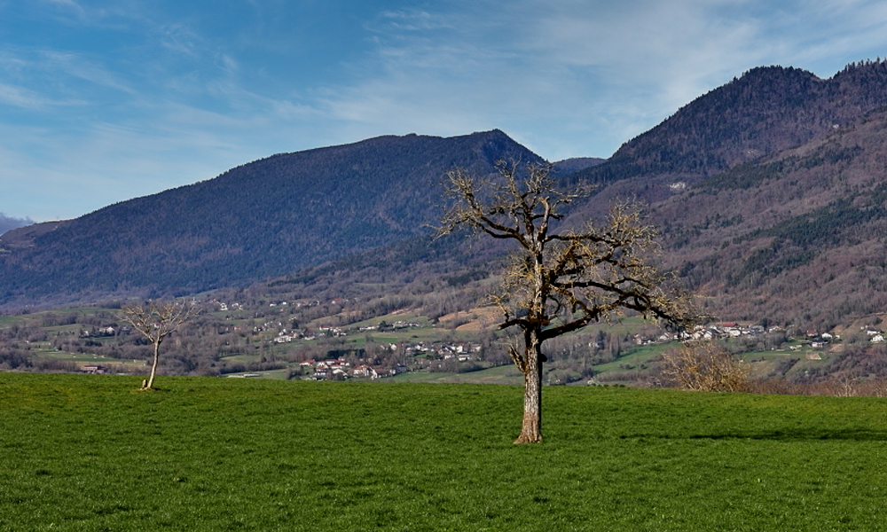 178A5022bissatplus_R.jpg.0bfb3f7fb2b4d316ef5d36d71dd86f7d.jpg