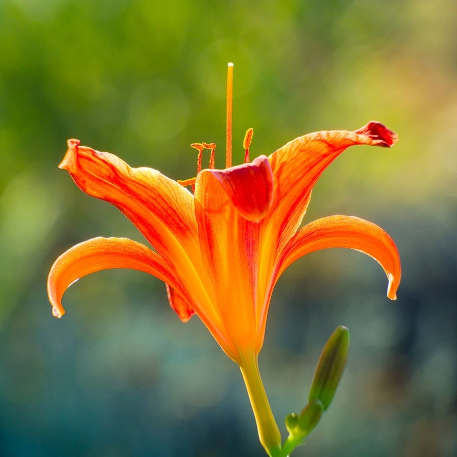 191-1 - Porte-Poisse.jpg