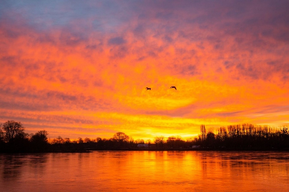 259-1 - Krystron.jpg