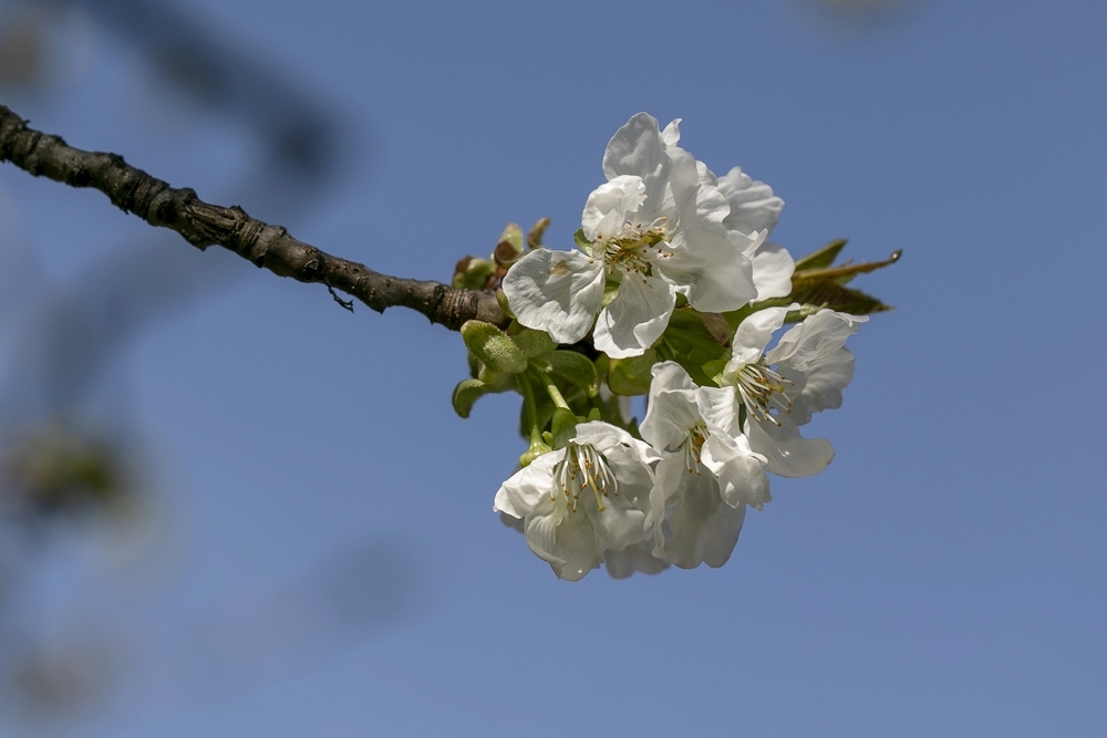 2G6A0940.jpg