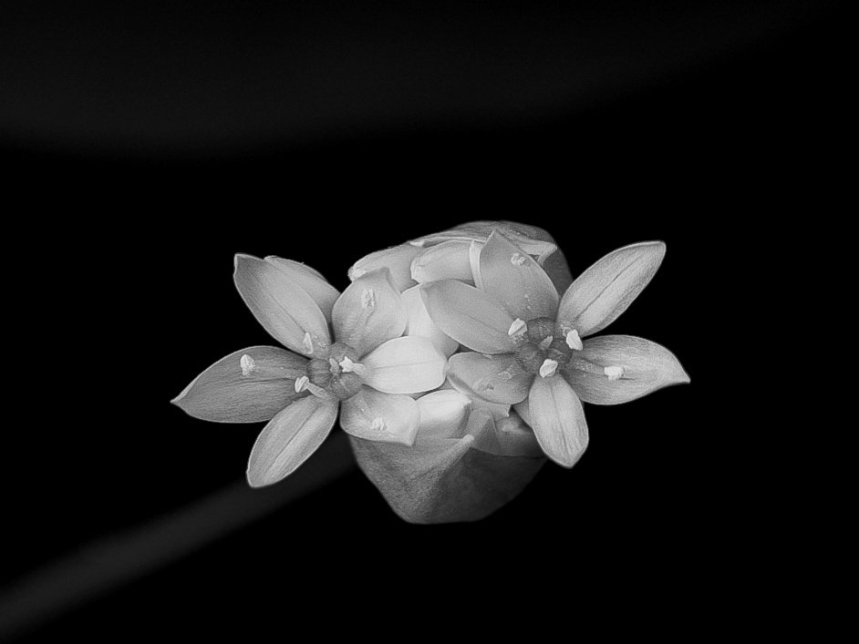 2G6A1146.jpg