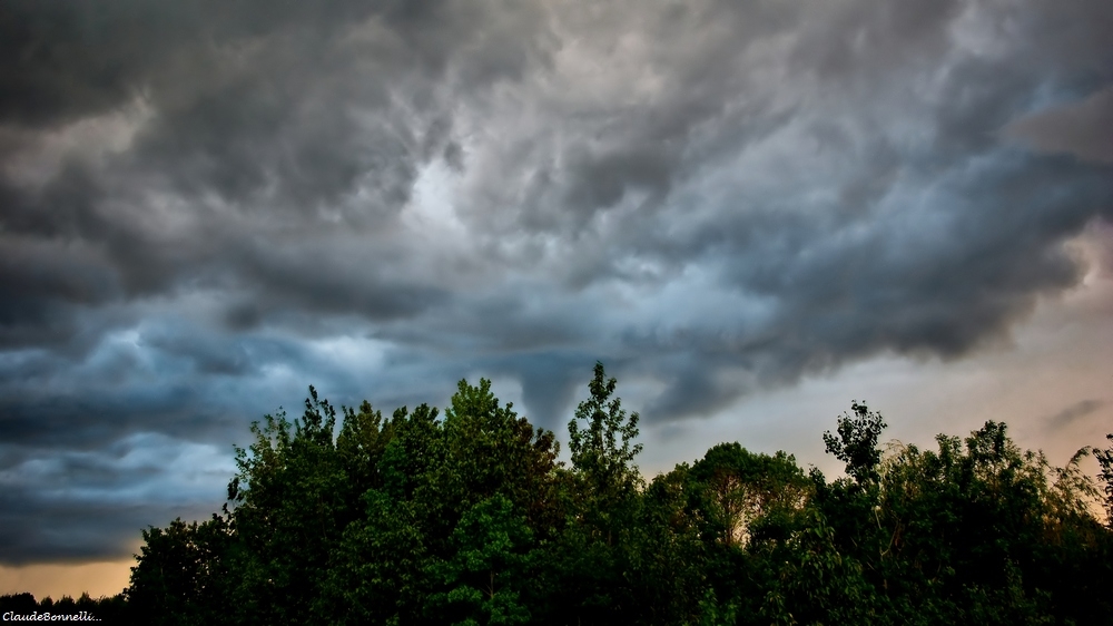 1-7586-1_filtered.jpg.a4d5af8155efd4c49039960ba8de5709.jpg