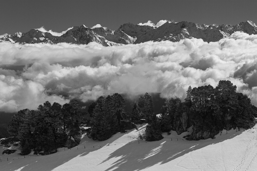 207A0031.jpg - 5D III  F Caro NB.jpg