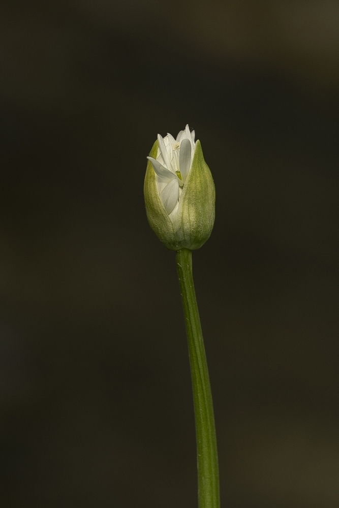 2G6A1138.jpg
