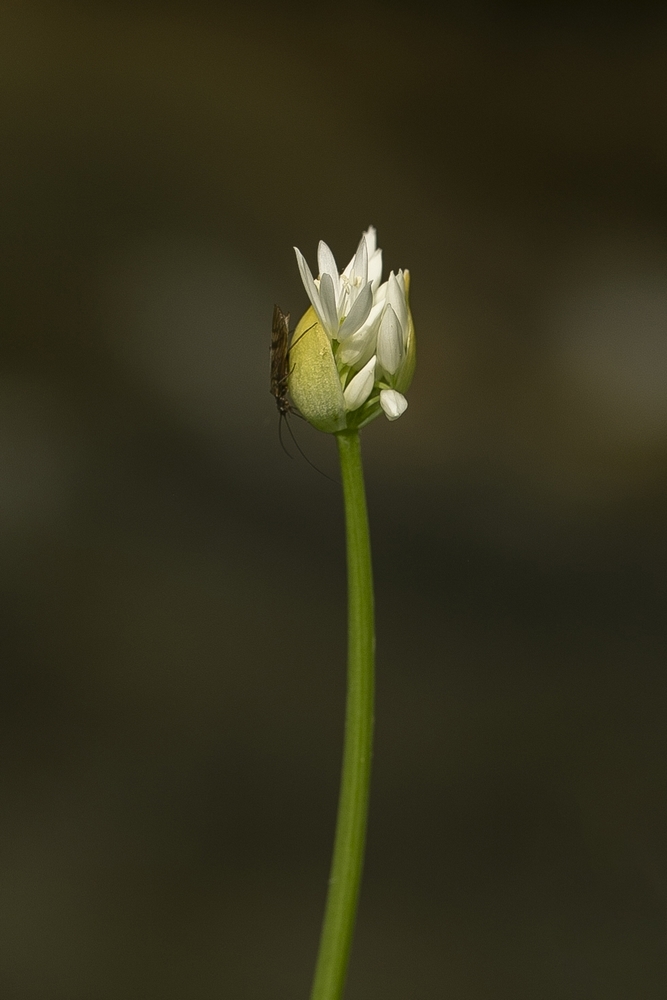 2G6A1140.jpg