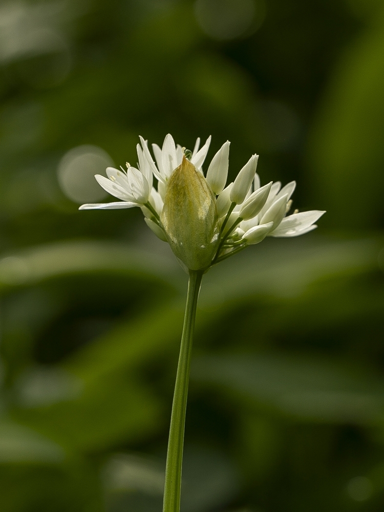 2G6A1143.jpg