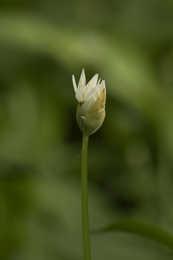 2G6A1154.jpg