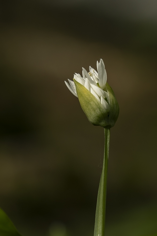 2G6A1157.jpg
