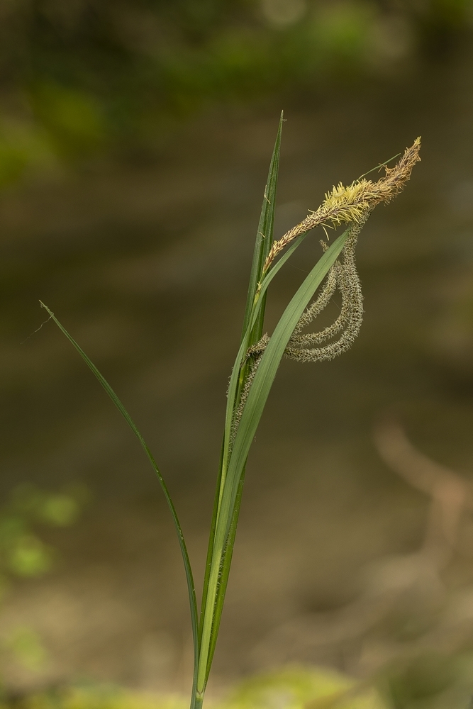 2G6A1165.jpg