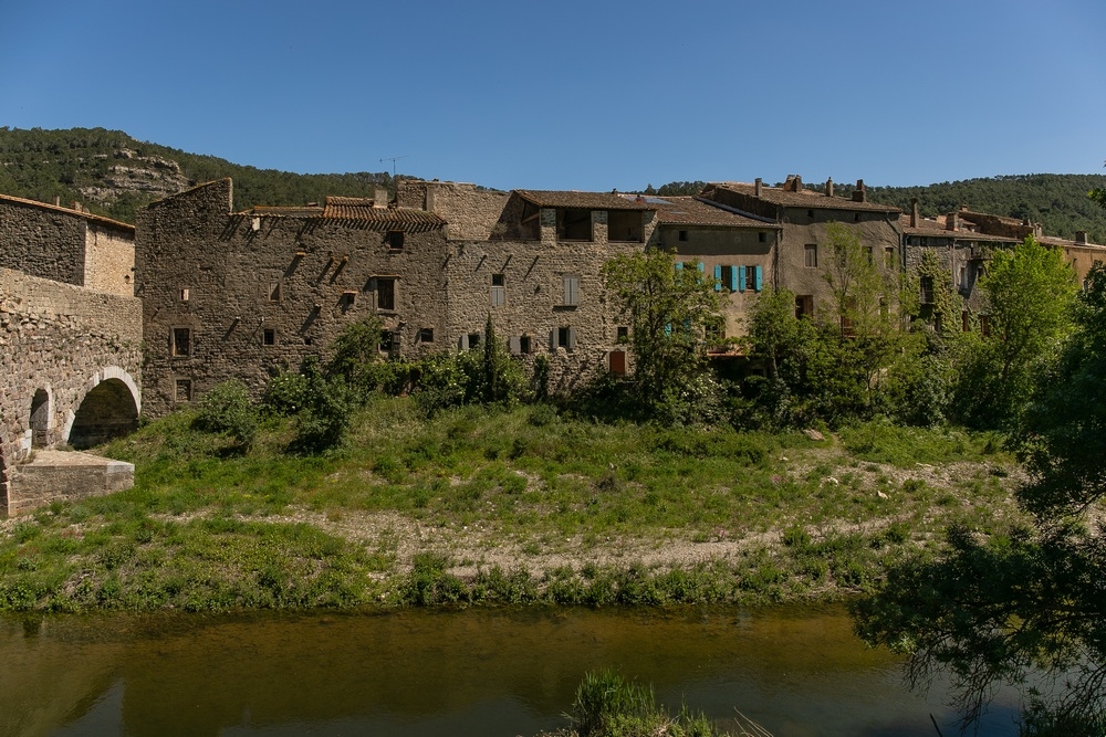 2G6A1379.jpg