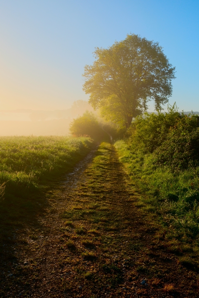 DSCF0387.jpg.98ad3935055515eef62eb2046f2a4a4d.jpg