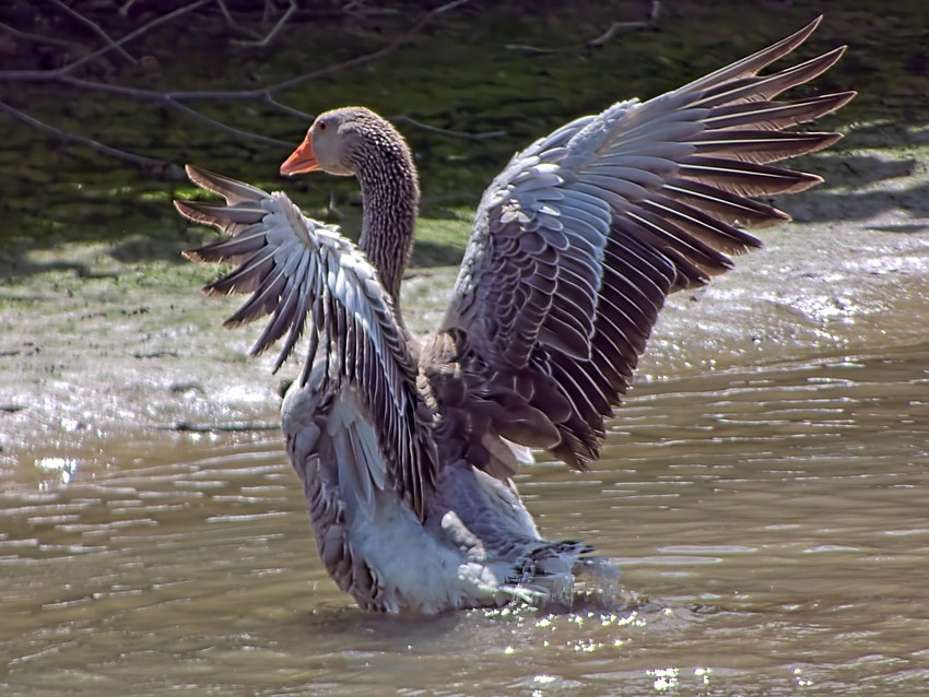 P1020155_ON1_WEB.jpg