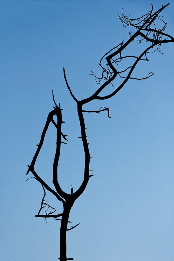_DSC7318_DxO.jpg.0d4419e2027c43679593c5829f87d5c5.jpg