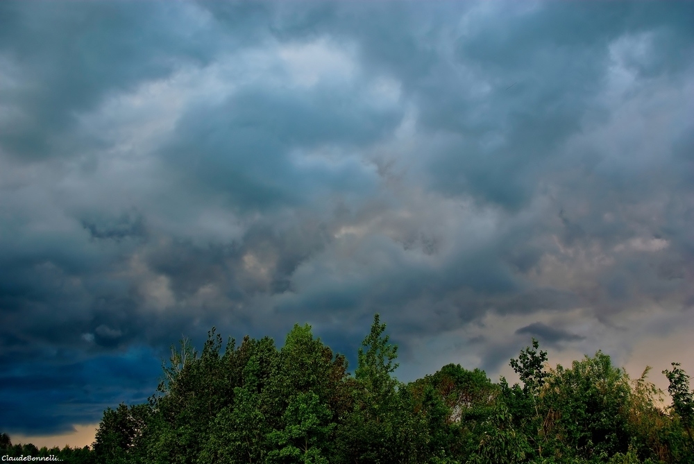 1-7572-1_filtered.jpg.b18d7584ed715899bc316468a5ab7632.jpg