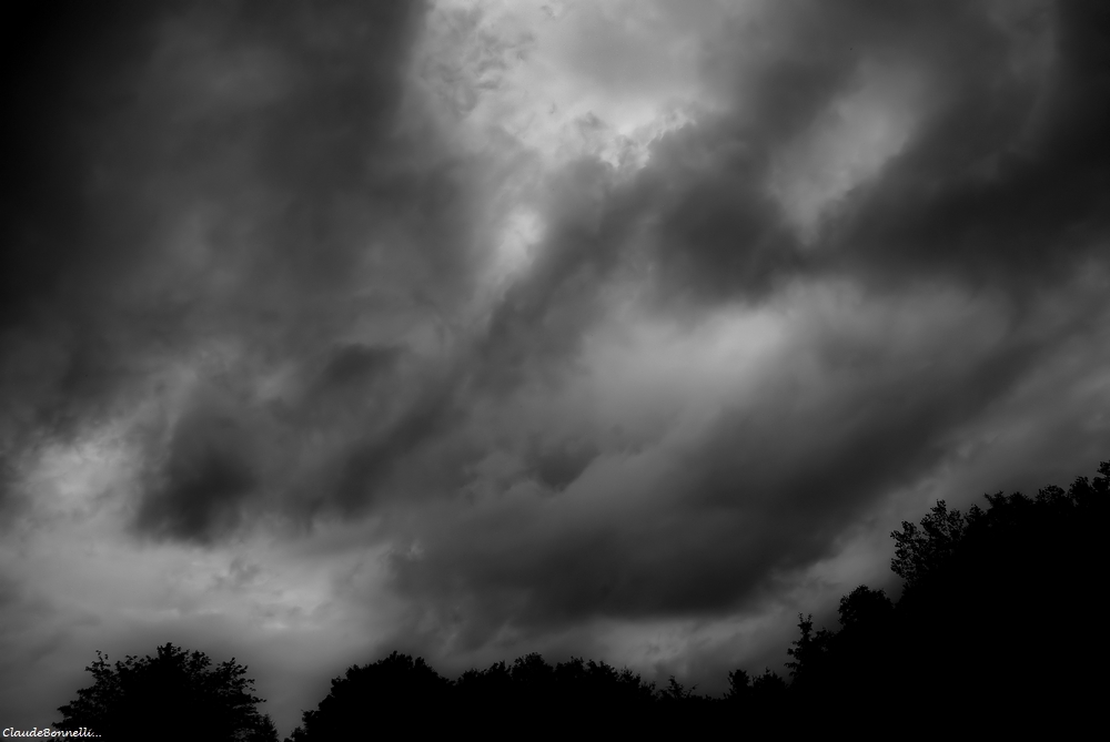 1-7671-1_filtered.jpg.8b2b5efd1f1d1c747f987c85527e4e24.jpg