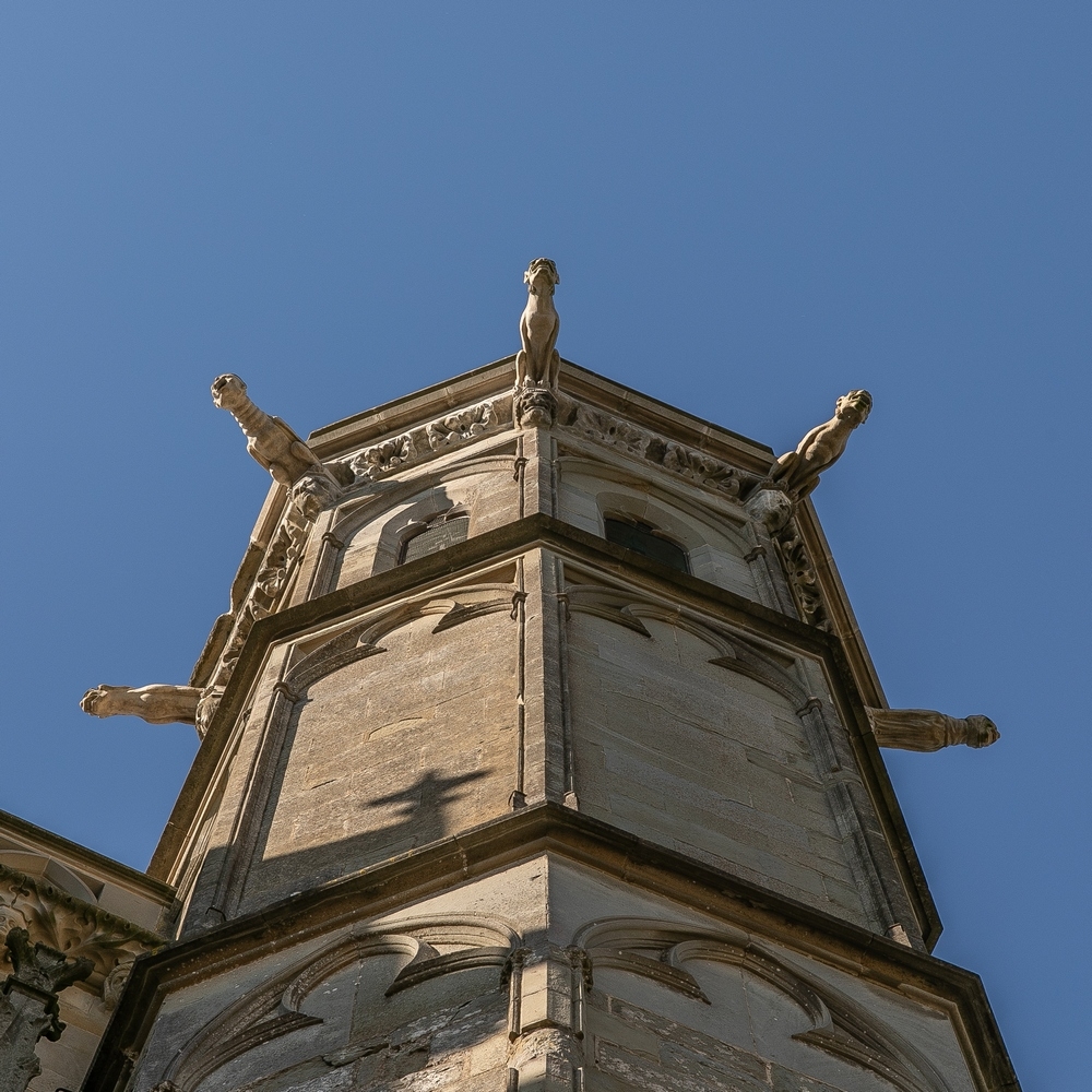 2G6A1423.jpg