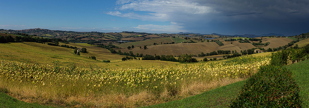 IMG_25589-Maceratacopie.jpg.e6e3611d554757020a9fed1d1d6b4f88.jpg