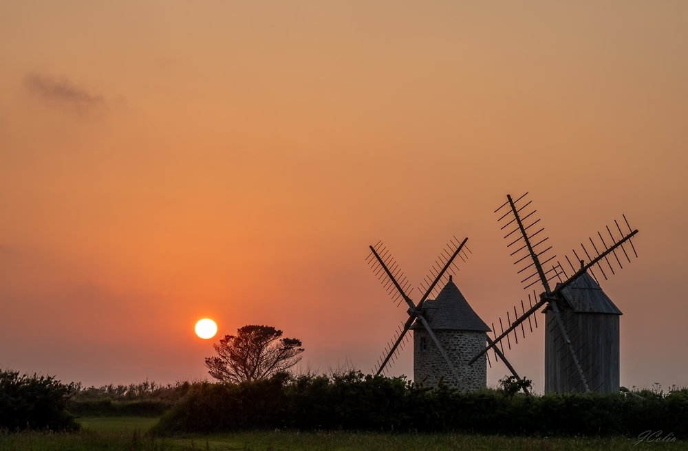 _DSC1432-1.jpg.60059467e13af512576d436f7222e272.jpg
