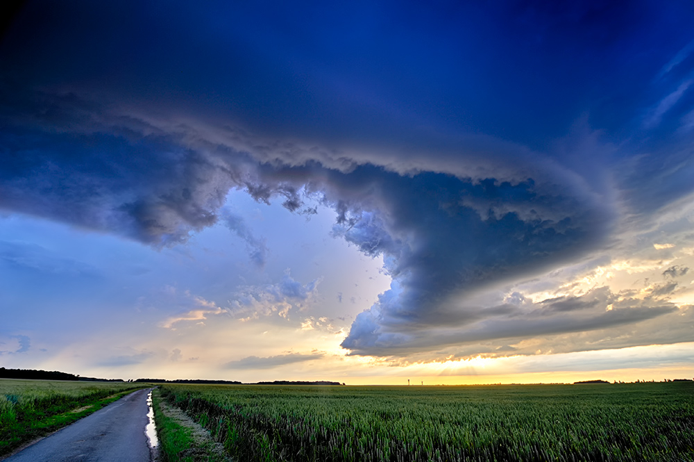 _DSC7020_sns.jpg.8ff91cd03b375303c3f16de2b473df21.jpg