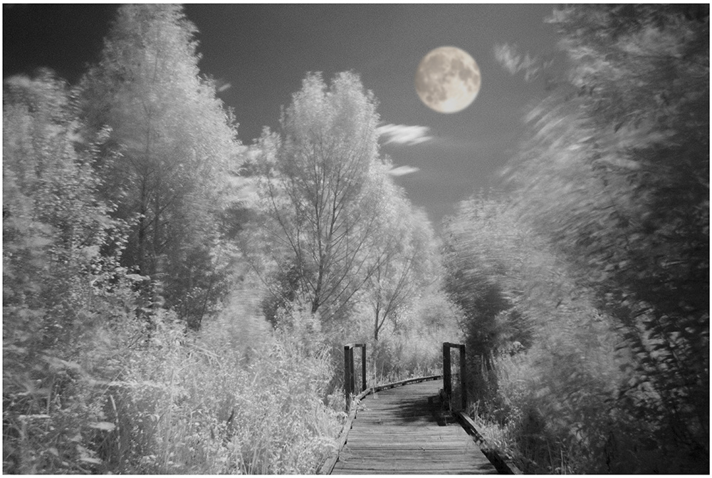 IRFULLMOON.jpg.a3cf3e845bb2a494ff7f77d0da3b23d8.jpg