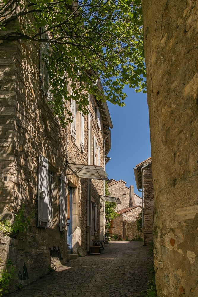 2G6A1509.jpg