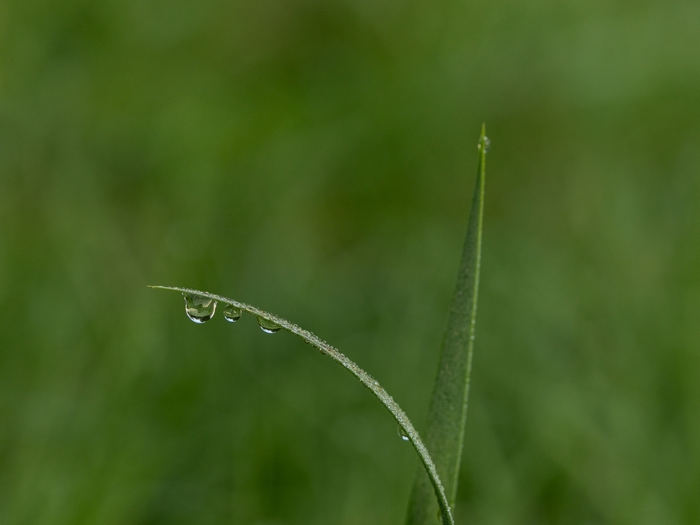 2G6A3345.jpg