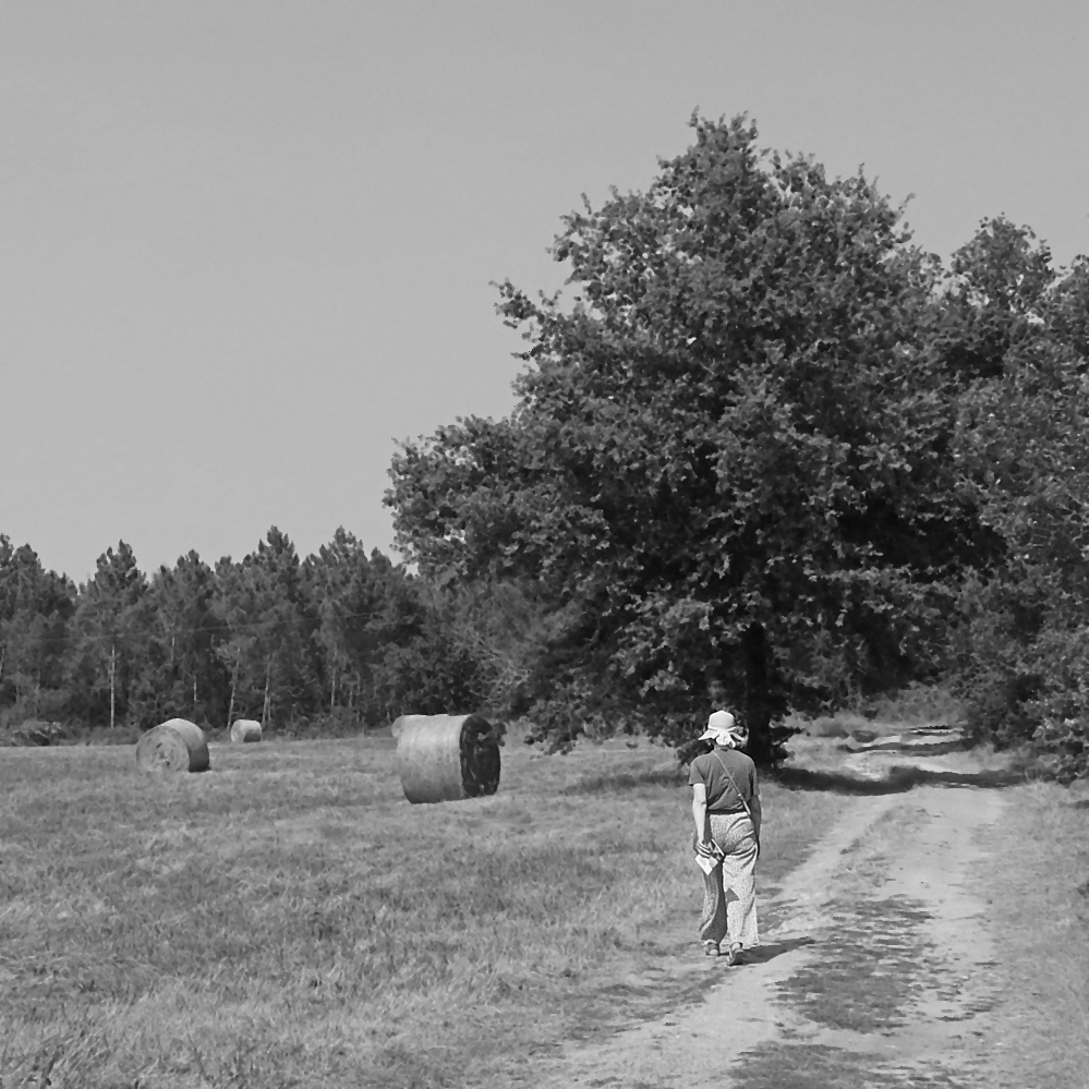DSCN0108RNB.jpg.62f28dfad1179437fc2787fbda75b458.jpg