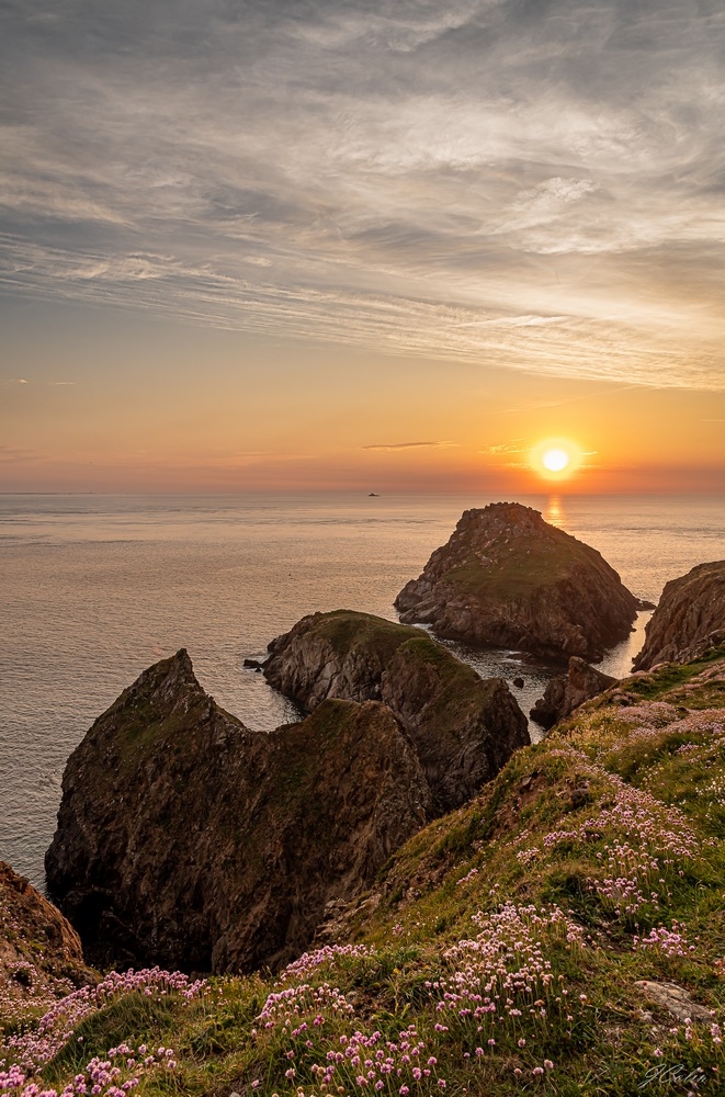 _DSC1297-2.jpg.d0edacb30efe1e0e9cbaa352cb52d907.jpg