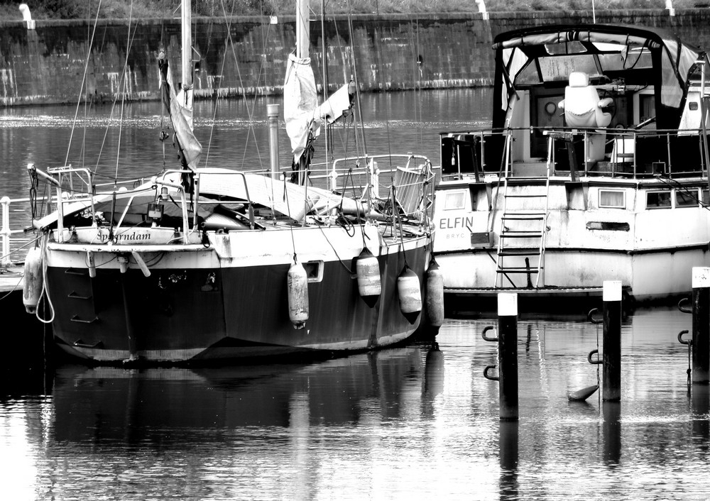 aquai1b.jpg.7856e9ec0b4eb7efbf7925a9399304b8.jpg