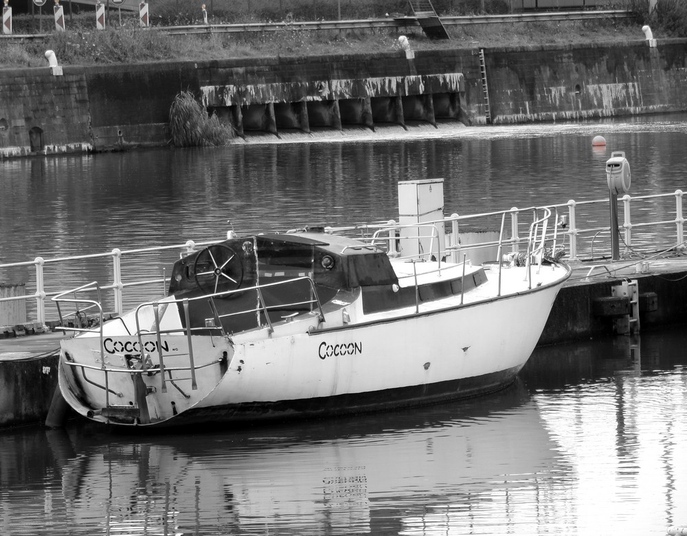 aquai2b.jpg.baafaadb1404ba8268d009c191381079.jpg