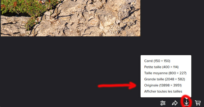 flickr.jpg