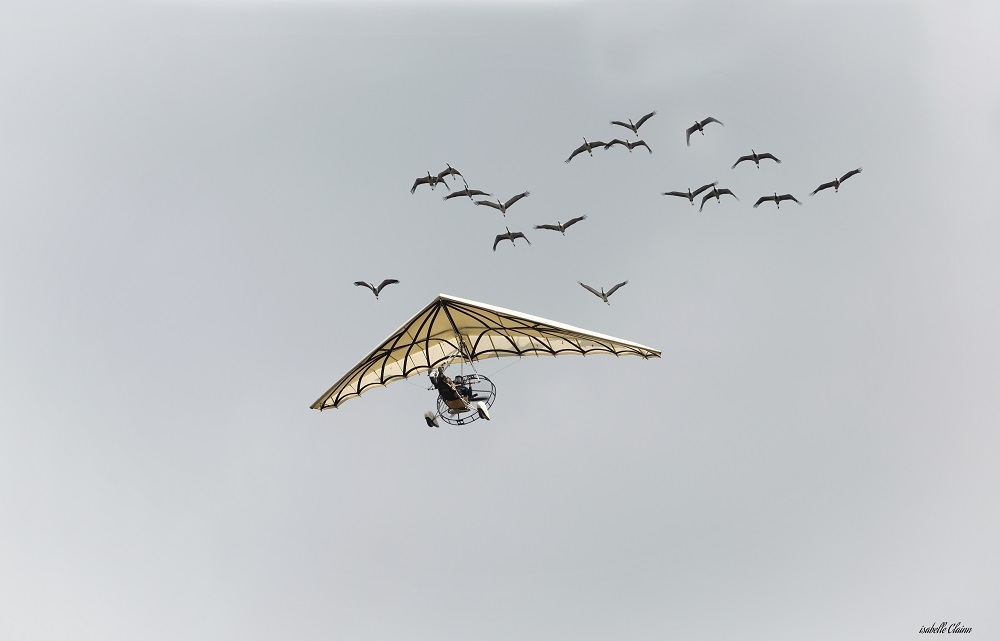 puy du fou 1 fp.jpg