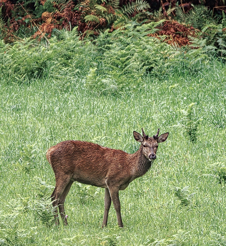 2024-09-24-19-26-39-192.jpg.38058c4ac7384b655e20f5f02e4503f7.jpg