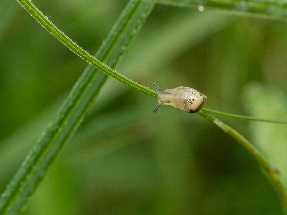 2G6A3363.jpg