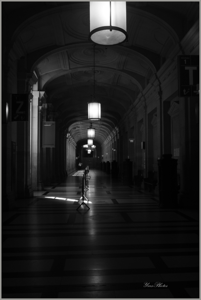 DSC03569-forum.jpg.fad97bb4dca80685e9e4dd7857929831.jpg.e0bce88f9ef8afd87a2e50faf5259a6c.jpg