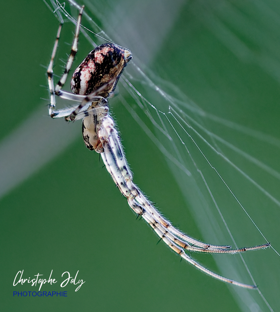 IMG_2574_DxO2.jpg