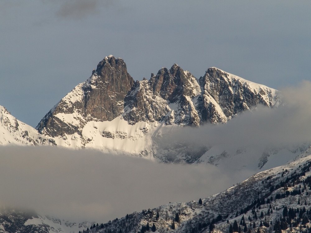 IMG_3067.jpg