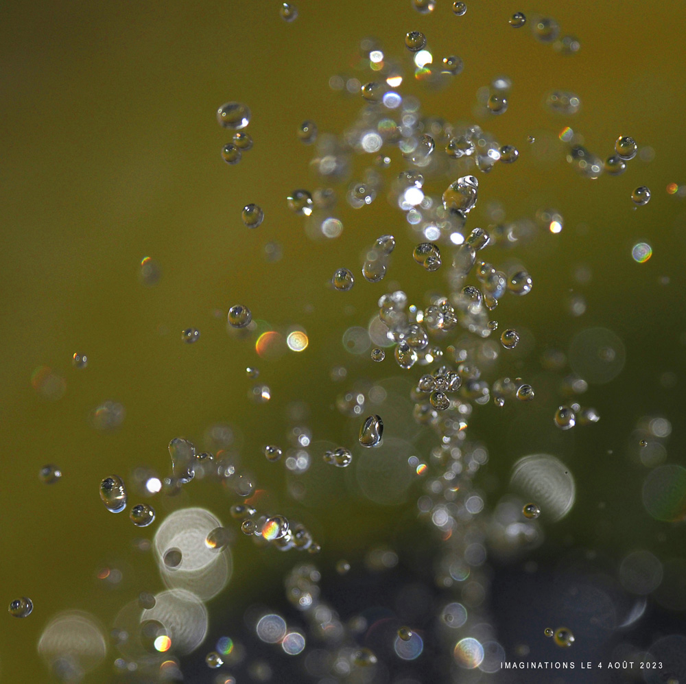ou_43f.jpg.7a6e60355eb8374686ede01c88c8e344.jpg
