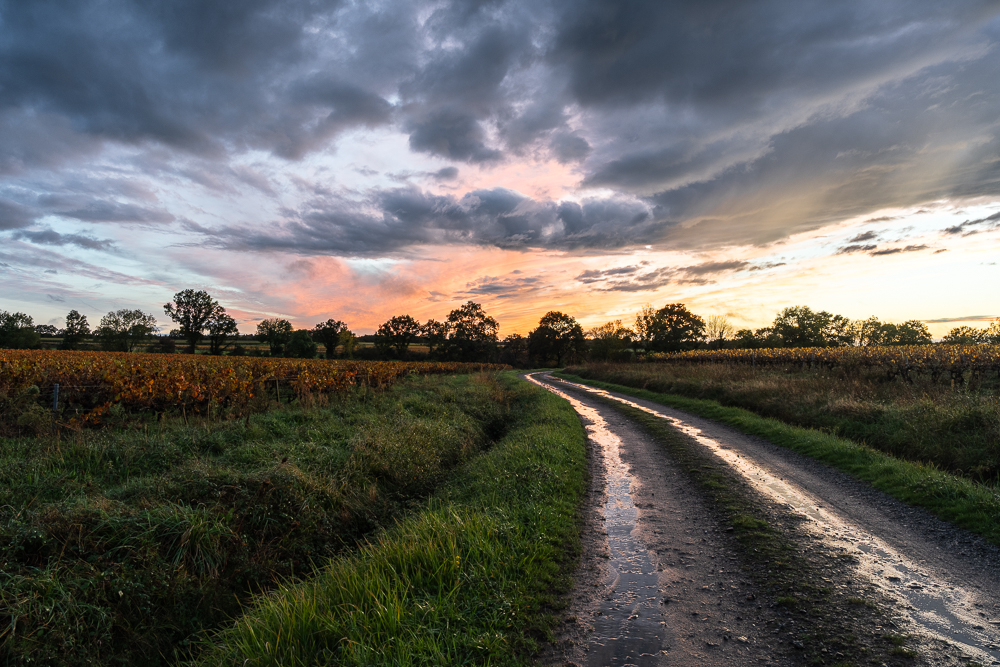 Paysage-1.jpg.cdc859097c10f1db00a48b2dcbc4cb52.jpg