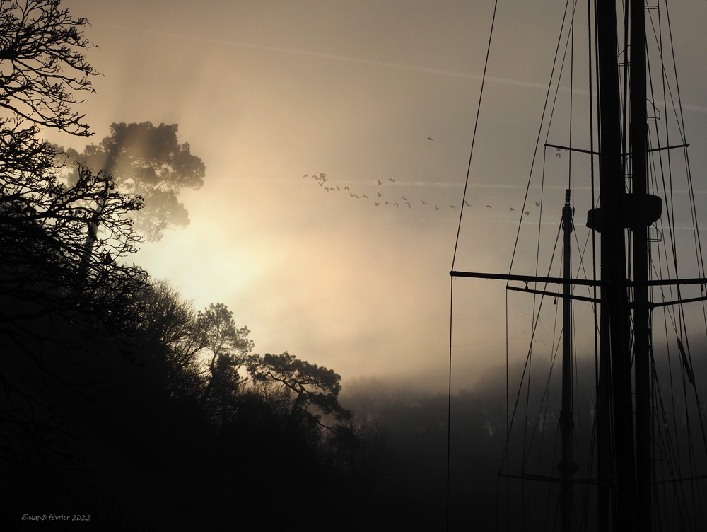 pl_25p.jpg.3fb34000d4640c0275675aac107f30e0.jpg