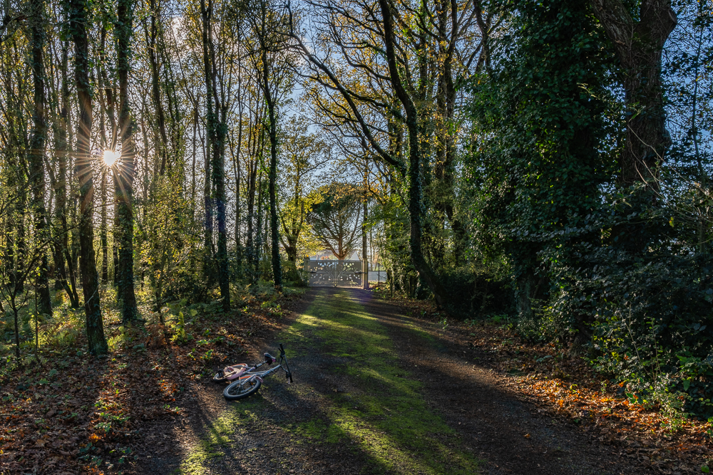 Allee-Velo-1-2.jpg.03ca2c8a0b0c096ba35466e2f7a5cd1d.jpg