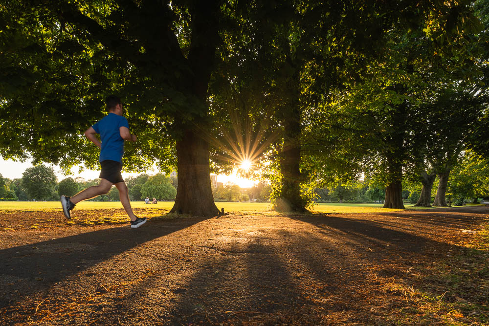 Jogger-Clissold-1.jpg.b3a0981263c122948df4f7e638a2092b.jpg