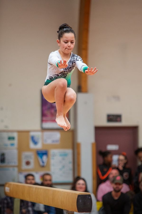 Saut sur la poutre.jpg