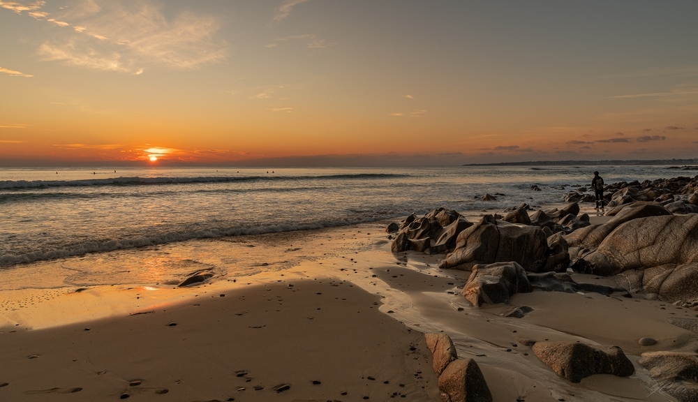 _DSC2200-5.jpg.721d40230f7b9f0e1a9205c9a8d0fc5a.jpg